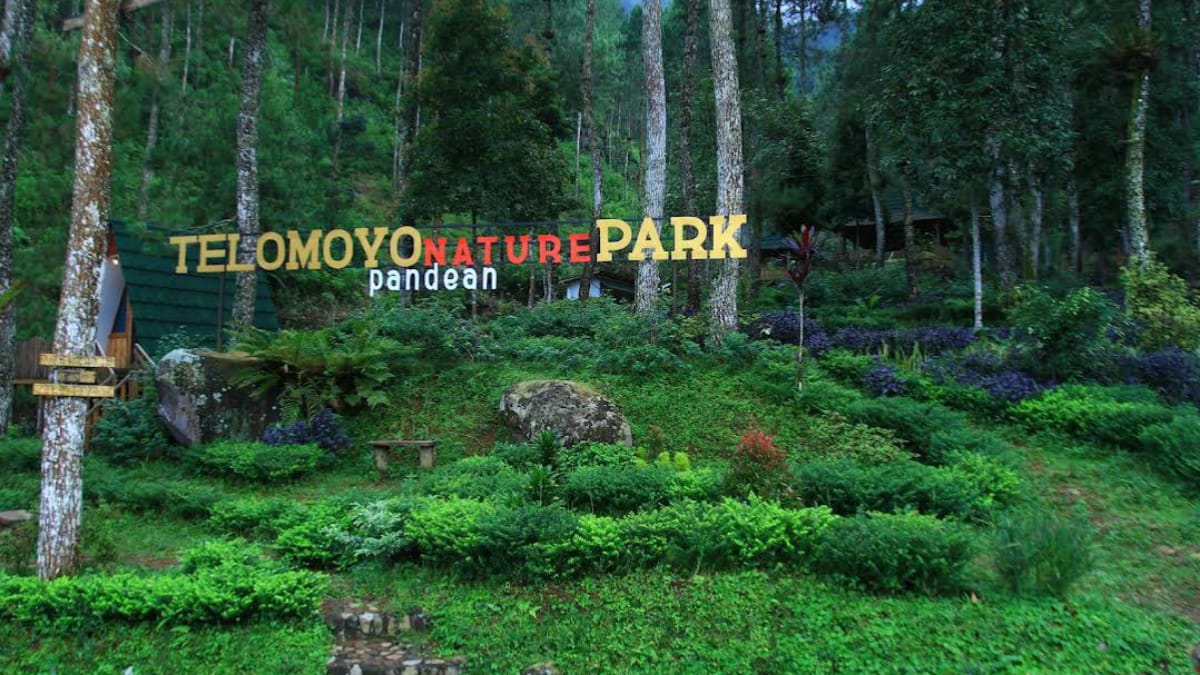 Telomoyo Nature Park: Petualangan Menakjubkan di Puncak Gunung